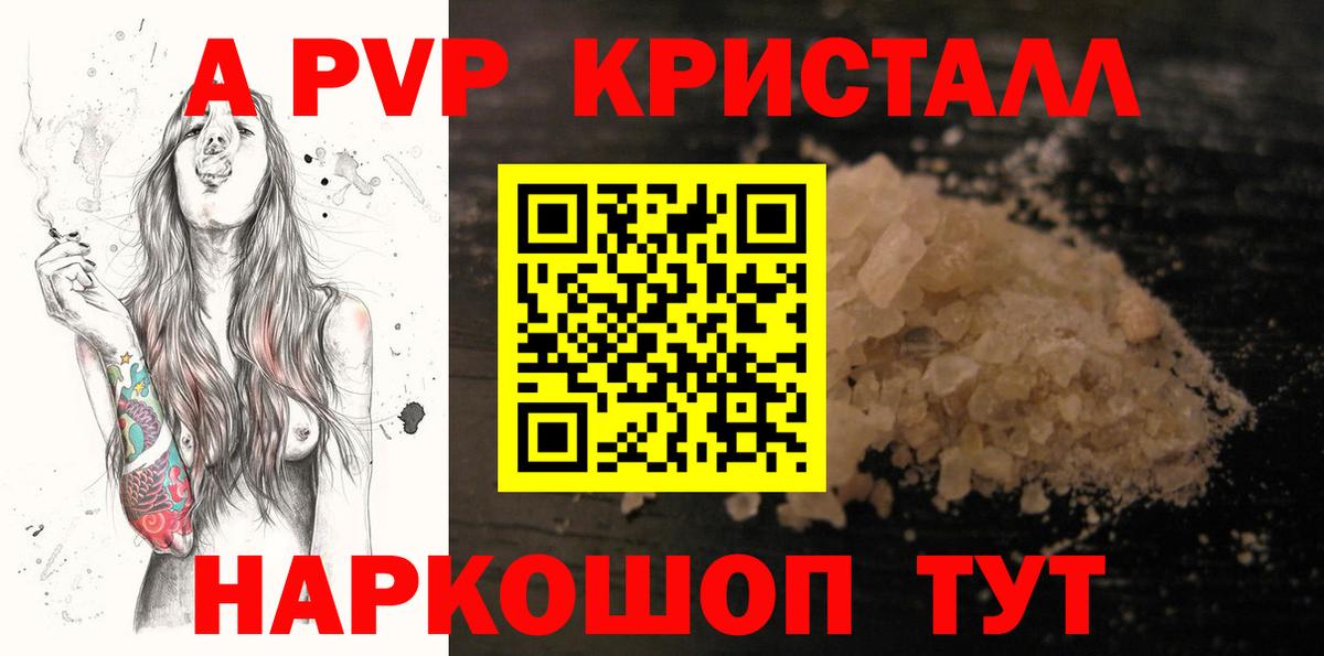 APVP СК Бердск