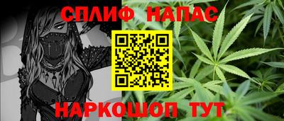 прущие грибы Апшеронск