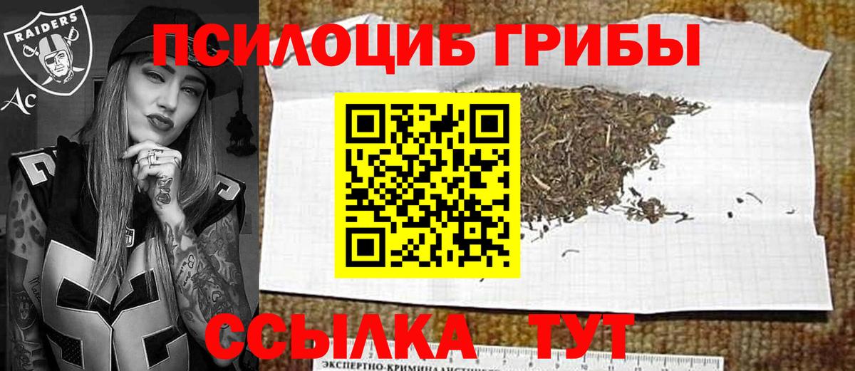 Галлюциногенные грибы мухоморы  Вход с VPN  Бердск 