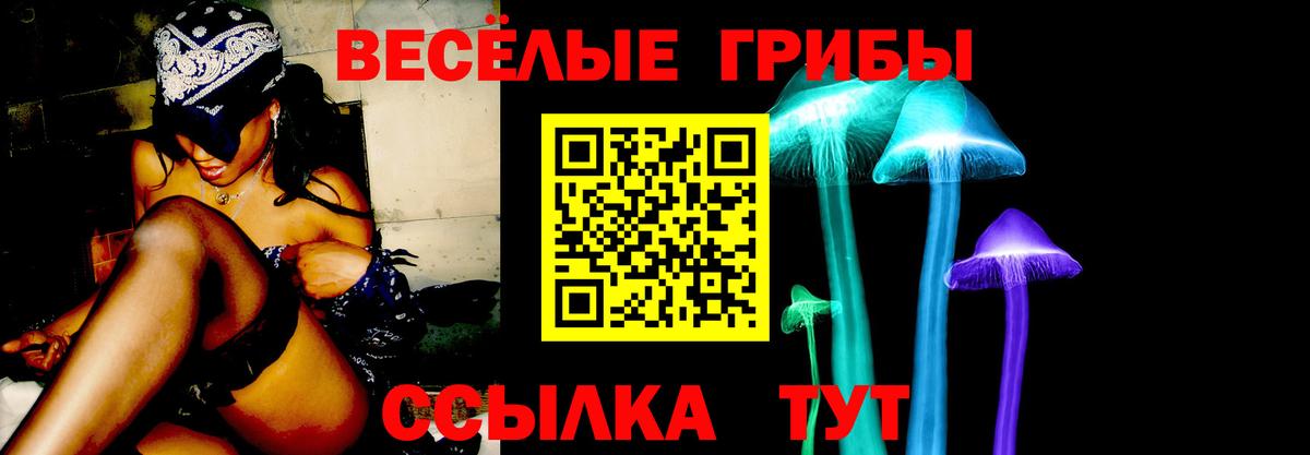 Псилоцибиновые грибы GOLDEN TEACHER Бердск